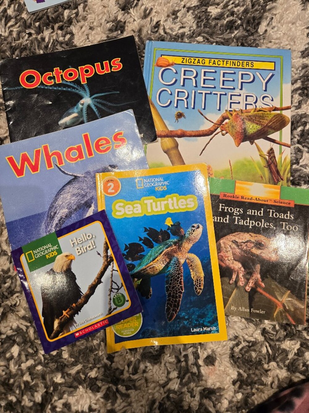 National Geographic Kids & Scholastic Science Book Bundle | Set of 6 |